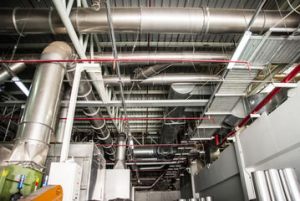 240_F_135644758_Uuz6faKf9w2Uf8m7ngl4mJIFdXaCoAk8