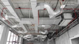 240_F_214972536_Tgx49BK80BmeiRqys4Ll7NGJo1iLeuty