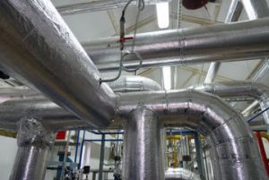 240_F_79519745_wMU59M4eQ008xtbVqyslYCYy8797zFAm