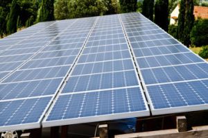 240_F_54225555_fLeTUweFsQRerVdjNQUpjMaPhmtLvEBQ